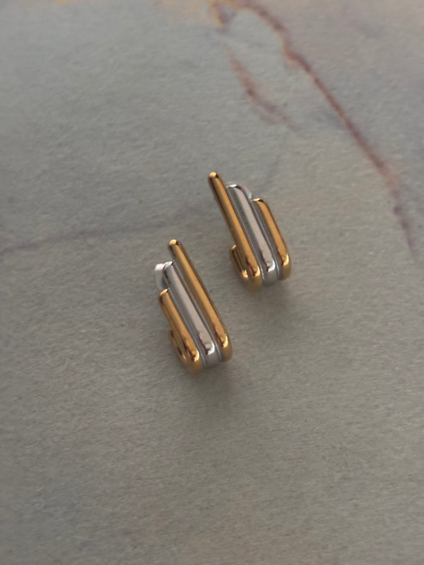 Brat Dual Tone Earrings