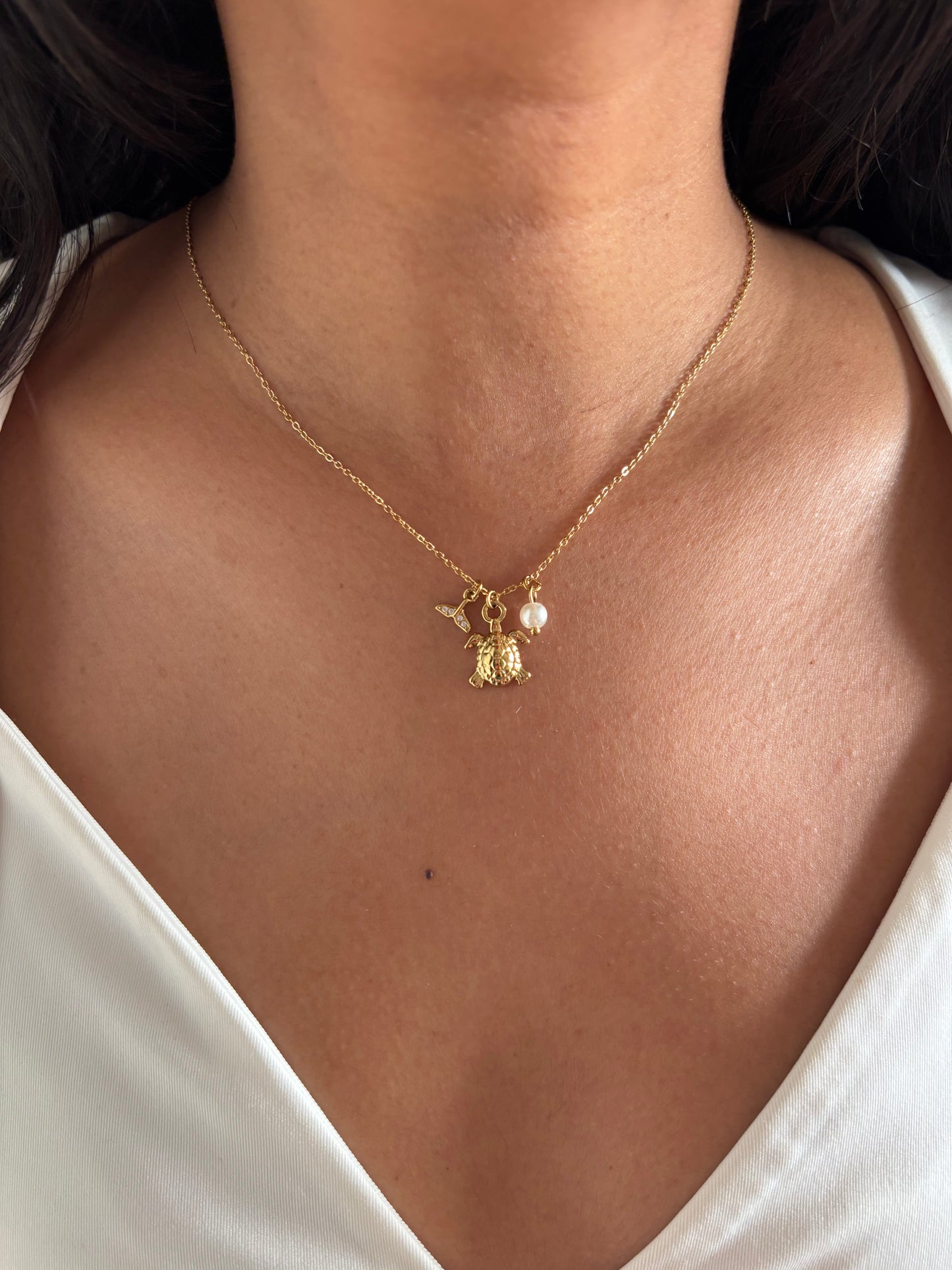 Turtle Story Necklace