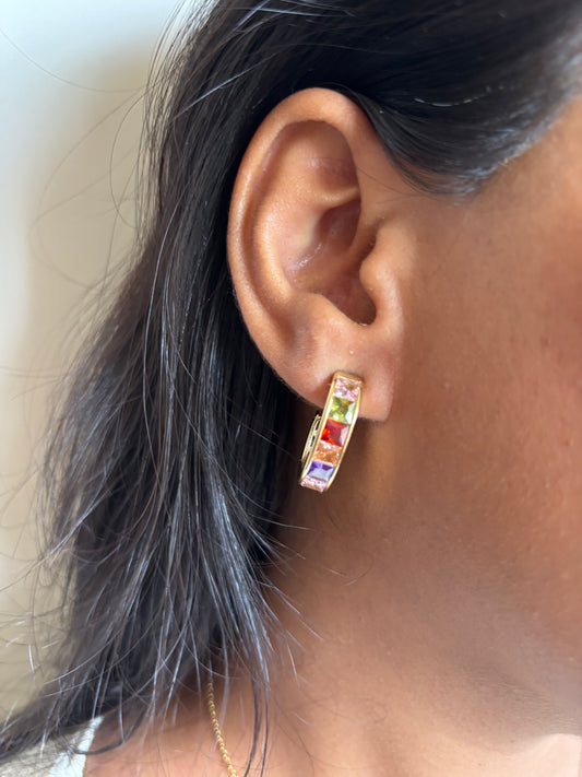 Della Multi-color Earrings