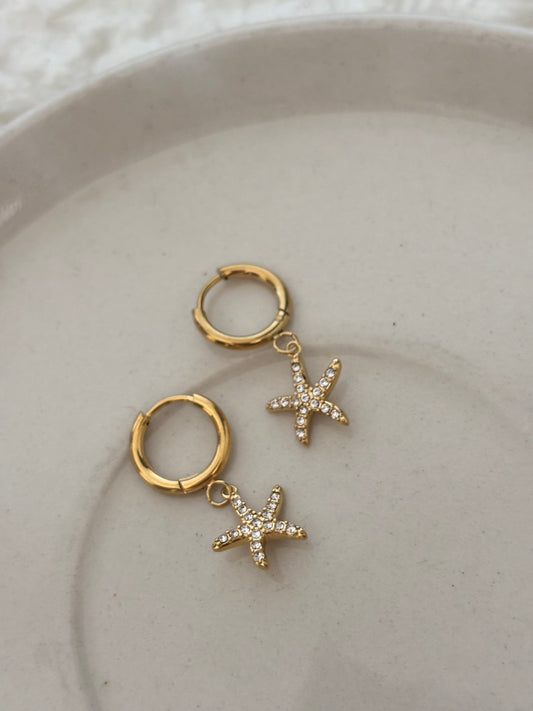 Ocean Earrings Combo