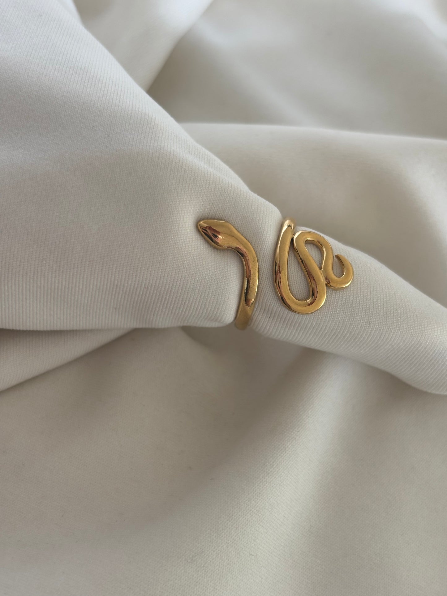 Swirl Snake Adjustable Ring