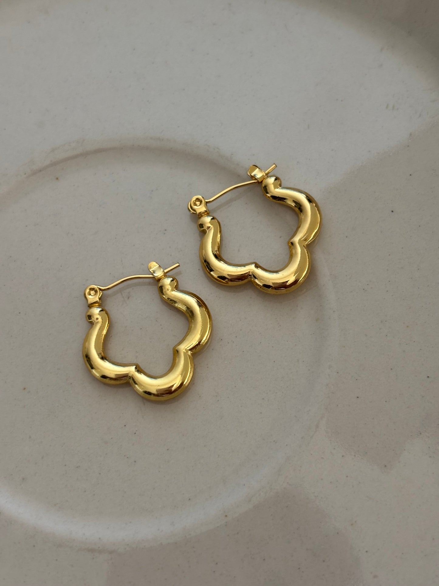 Hoops Combo 5- Stainless Steel