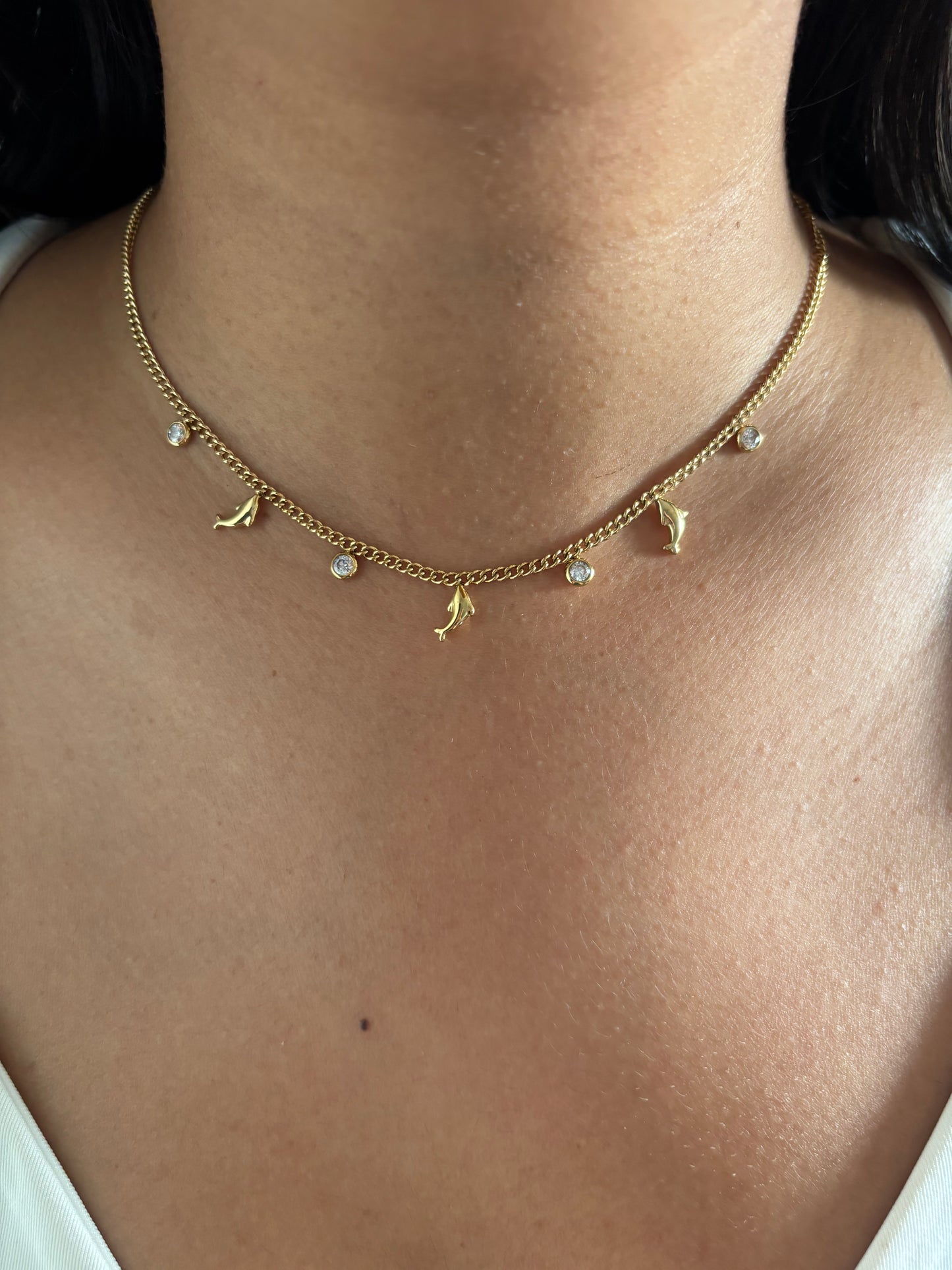 Dolphin Charm Necklace