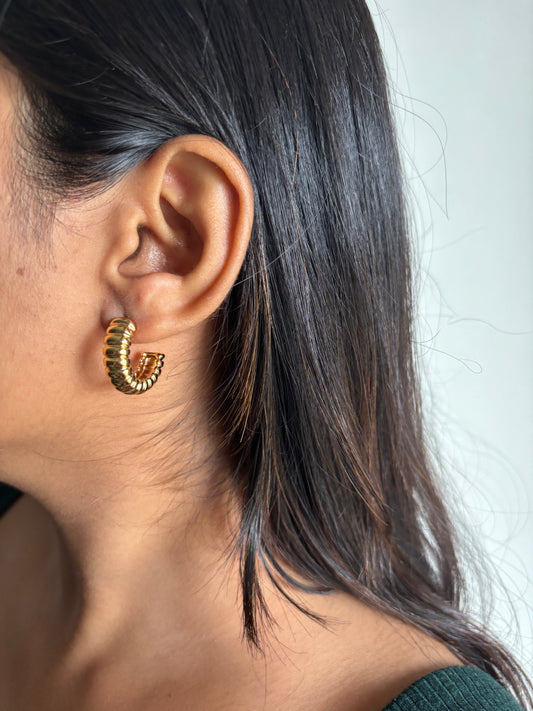 Zoya Hoops