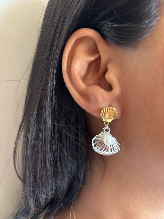 Dual Tone Shell Earrings