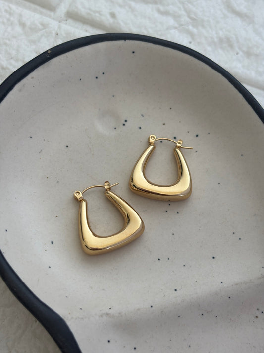Tote Hoops