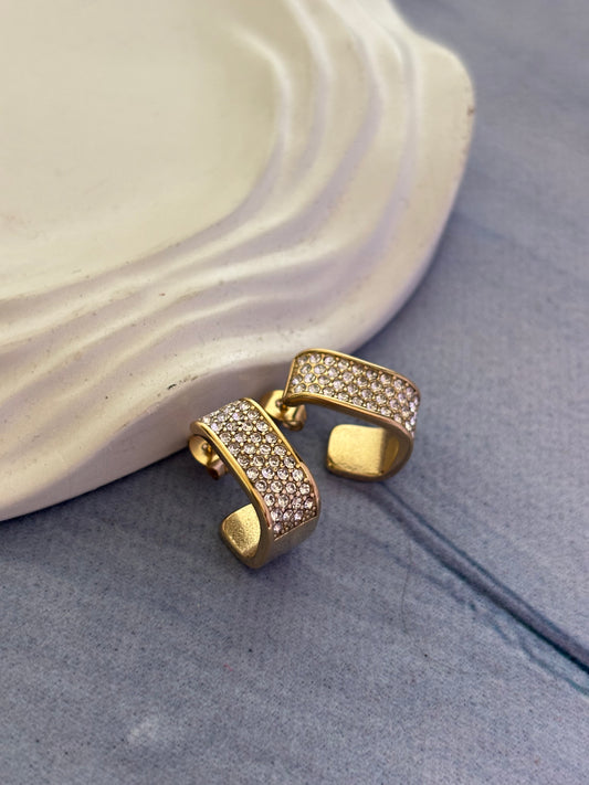 Sparkling Studded Earring